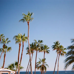 Meet your Posher, Mary travis